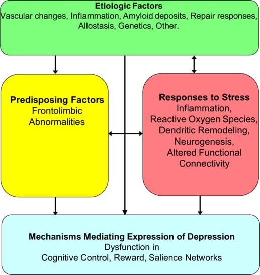 Late-life depression (LLD) | Current Affairs Editorial, Notes by VajiraoIAS