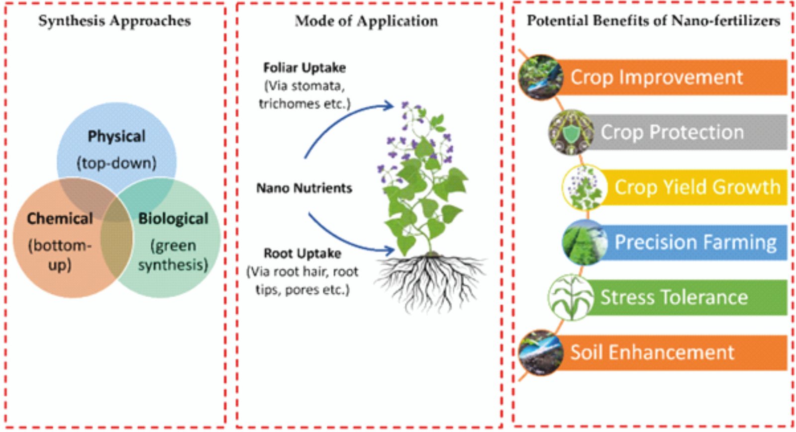 Nano – Fertilizers | Current Affairs Editorial, Notes By VajiraoIAS