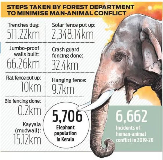 Kerala’s Human- Wildlife Conflicts 