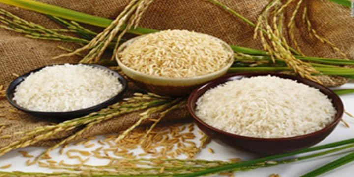 Promotion of the scheme of distribution of ‘fortified rice’ by the Central Government: