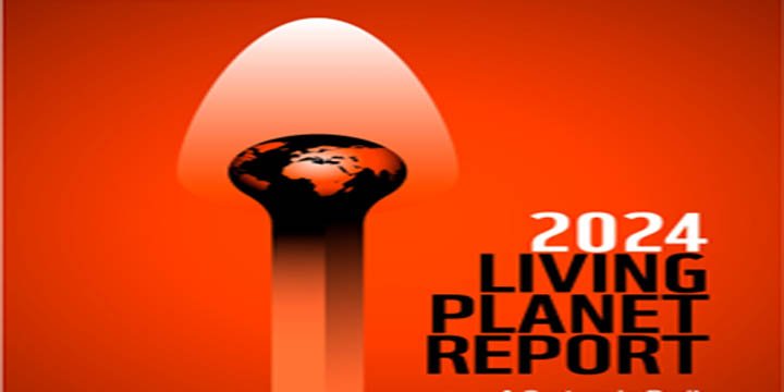 Living Planet Report 2024: Nature on the verge of extinction