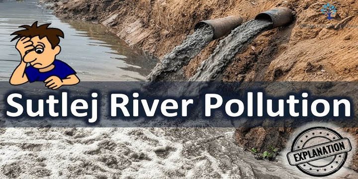 Pollution In River Sutlej