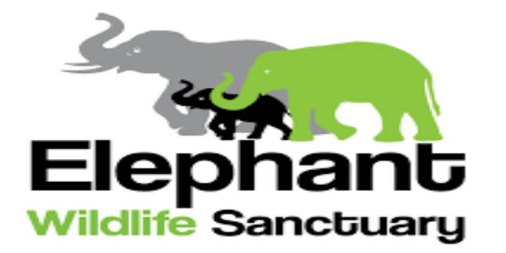 Elephant Protection In Shettihalli Wildlife Sanctuary