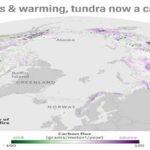 Arctic tundra Emitting More Carbon Than Sinking