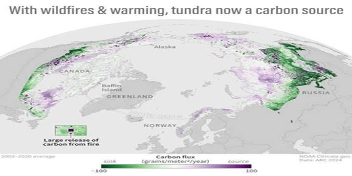 Arctic tundra Emitting More Carbon Than Sinking