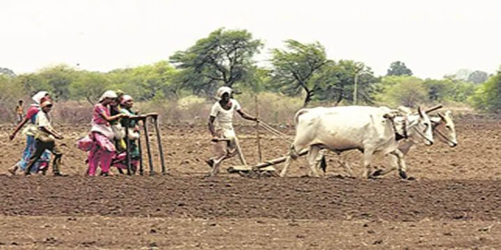 Recommendations of the Parliamentary Standing Committee on Agriculture regarding MSP guarantee, loan waiver: