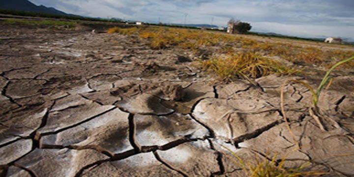 Worldwide ‘land degradation’ threatens Earth’s ability to sustain humanity: