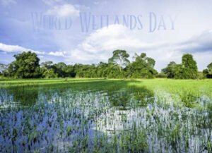 World Wetlands Day and addition of four new Ramsar sites in India: