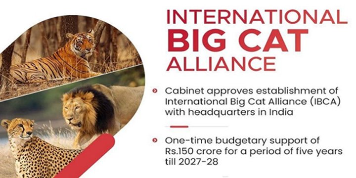 International Big Cat Alliance Becomes A Treaty Based Organisation