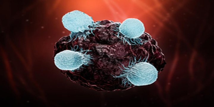 Clinical trial of India's first 'CAR T-cell' therapy successful for 73 percent patients:
