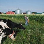 Why is the US agricultural support system important in India-US trade talks?