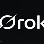Who is responsible for Grok's crazy reaction?