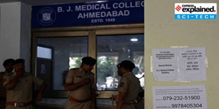 Use of DNA analysis to identify victims of Air India crash: