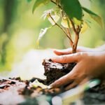 What is the significance of 'Green India Mission' in India's fight against land degradation: