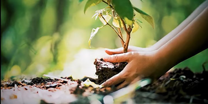 What is the significance of 'Green India Mission' in India's fight against land degradation:
