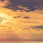 ASIA IS WARMING AT TWICE THE GLOBAL AVERAGE
