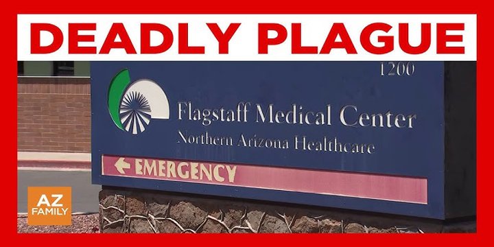 ARIZONA REPORTS FIRST PLAGUE DEATH (SINCE 2007)