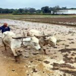 Indian agriculture needs $75 billion in aid due to climate crisis: