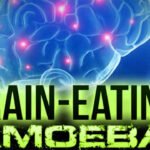 BRAIN EATING AMOEBA