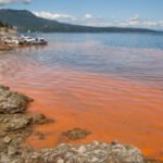RED ALGAL BLOOMS IN INDIAN WATER BODIES