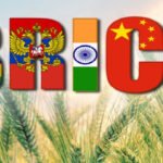 INDIA RUSSIA BRICS GRAIN EXCHANGE PROGRAM