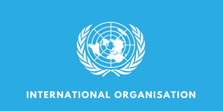 IMMUNITY OF INTERNATIONAL ORGANISATIONS