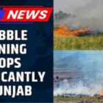 STUBBLE BURNING IN PUNJAB