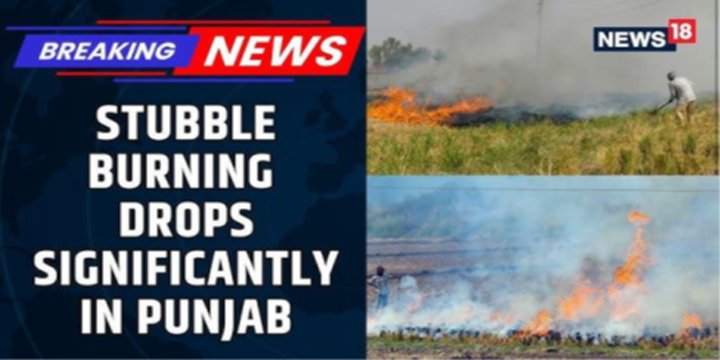 STUBBLE BURNING IN PUNJAB