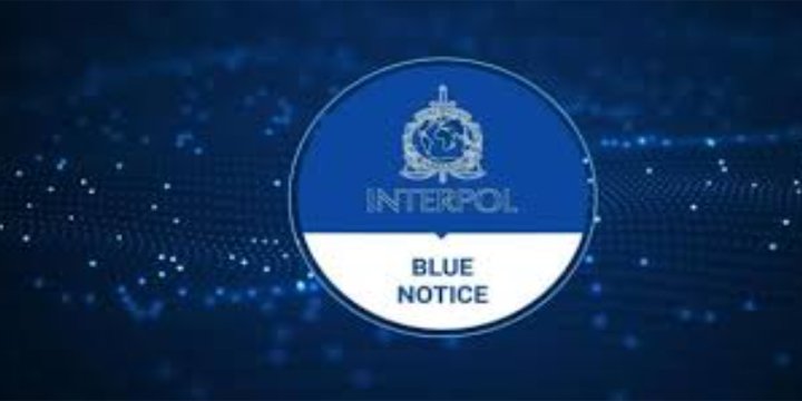 GOA NIGHTCLUB FIRE: BLUE CORNER NOTICE BY INTERPOL