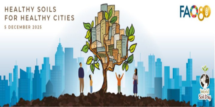WORLD SOIL DAY