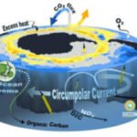 SOUTHERN OCEAN CARBON ANOMALY