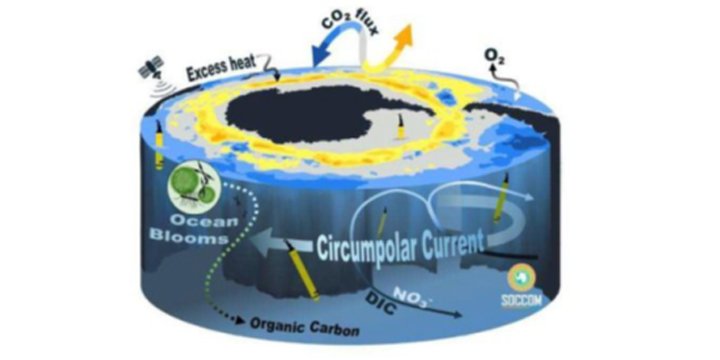 SOUTHERN OCEAN CARBON ANOMALY