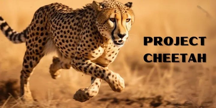 PROJECT CHEETAH: THE THIRD WAVE