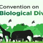 INDIA’S 7TH NATIONAL REPORT TO THE CONVENTION ON BIODIVERSITY (CBD)