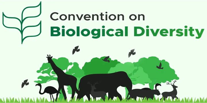 INDIA’S 7TH NATIONAL REPORT TO THE CONVENTION ON BIODIVERSITY (CBD)