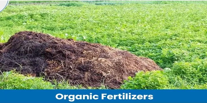 BLENDING OF ORGANIC MANURE WITH FERTILIZERS