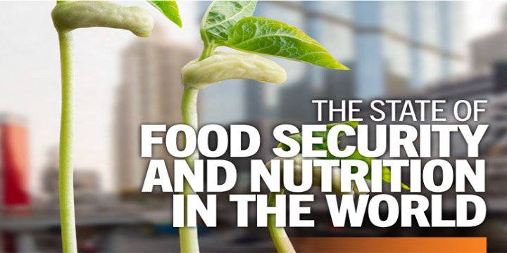 STATE OF FOOD SECURITY & NUTRITION IN THE WORLD
