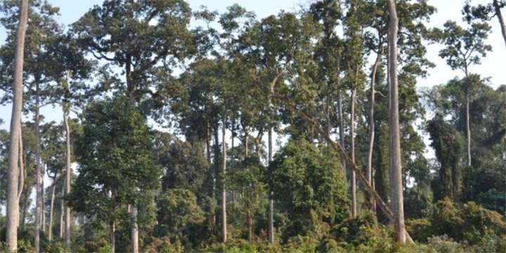 CAG AUDIT FLAGS MAJOR GAPS IN GREEN INDIA MISSION